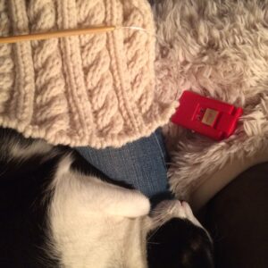 cats and knitting...zzzzz
