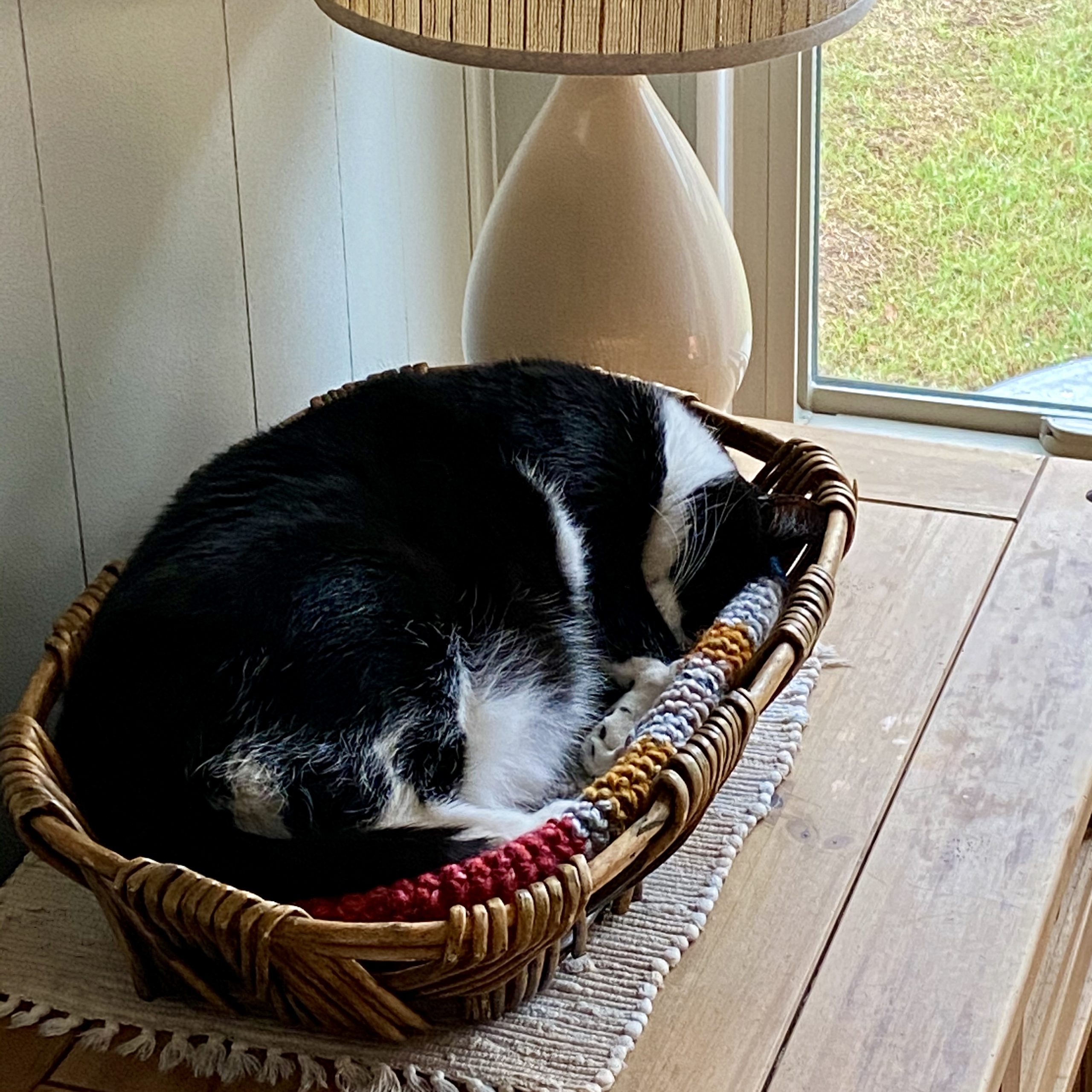 Crocheted Cat Nap Rest
