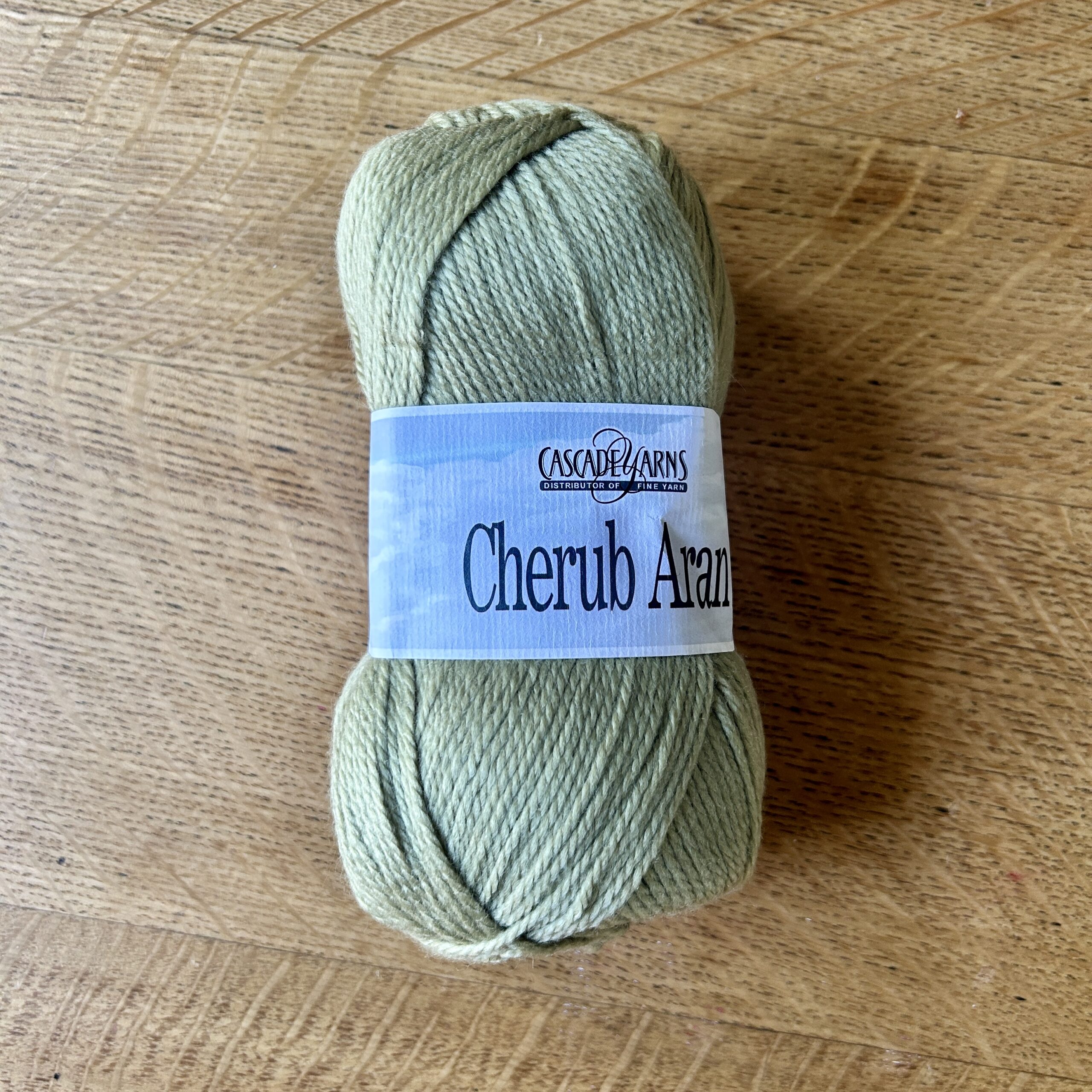 Cascade Yarns Cherub Aran in Willow