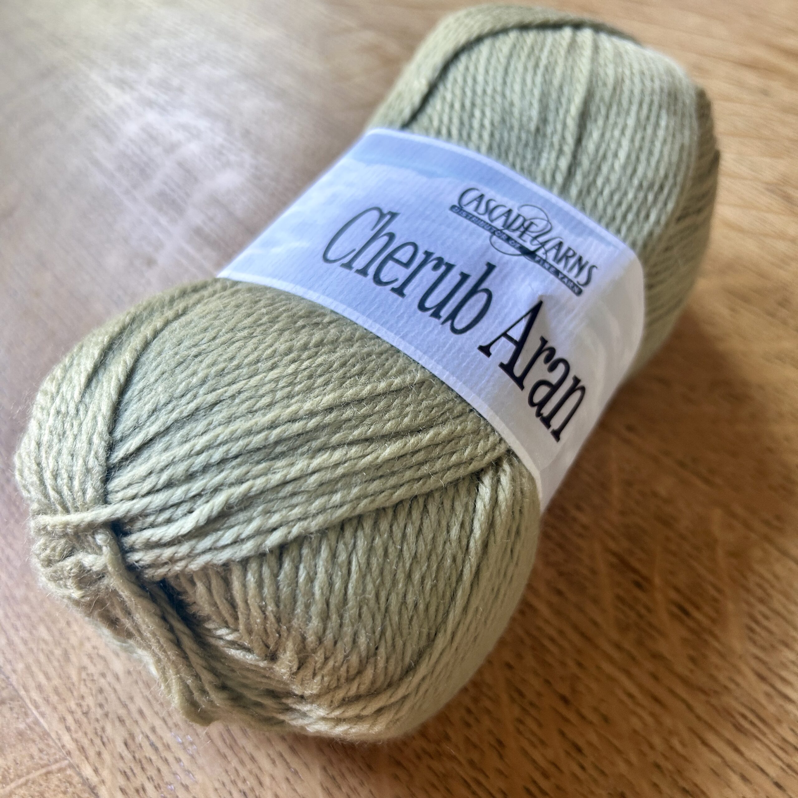 Cascade Yarns Cherub Aran in Willow