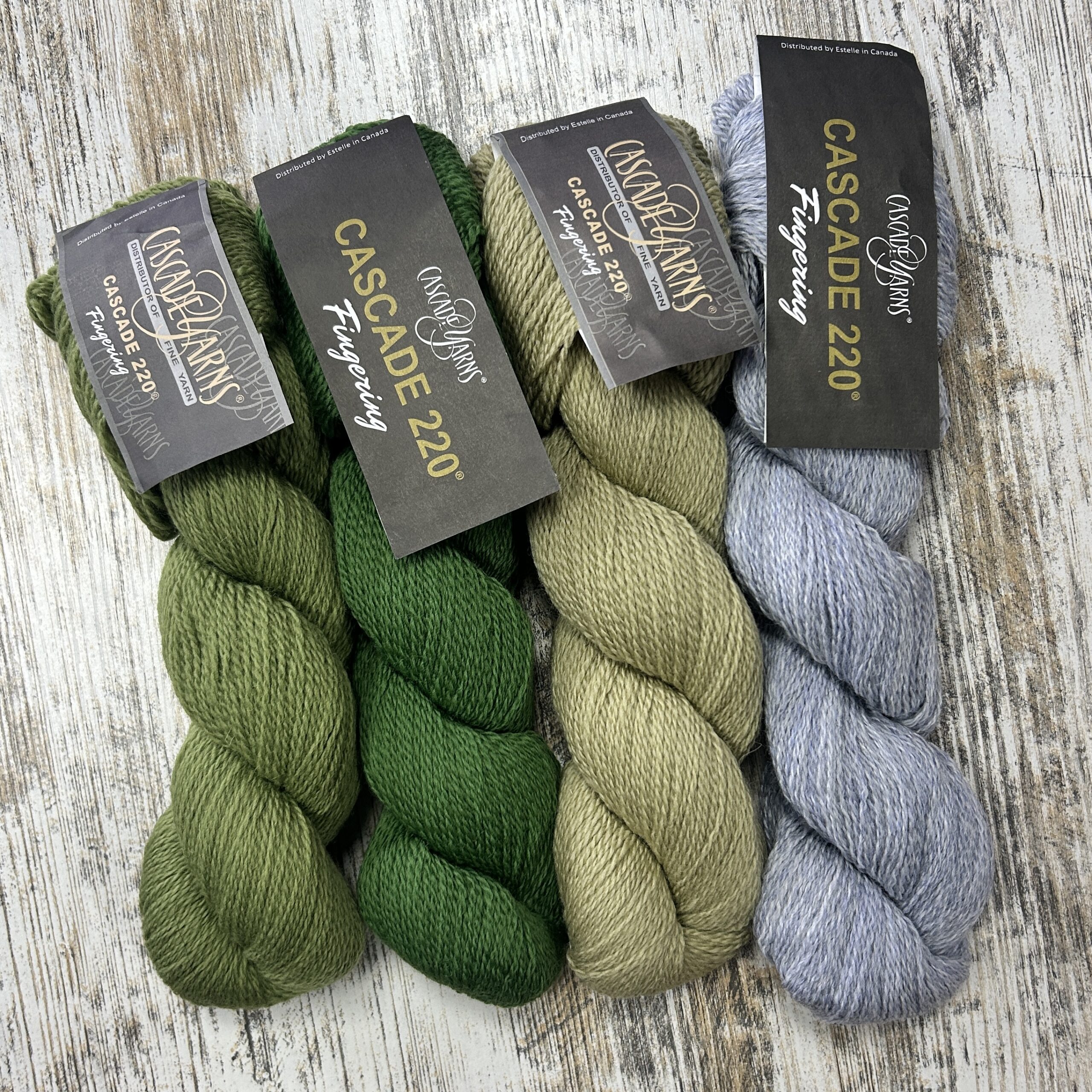 Cascade Yarns 220 Fingering - Image 2