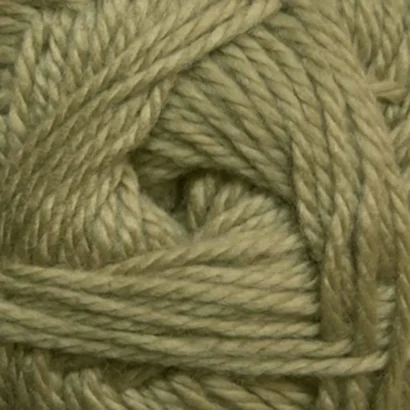 Cascade Yarns Cherub Aran in Willow