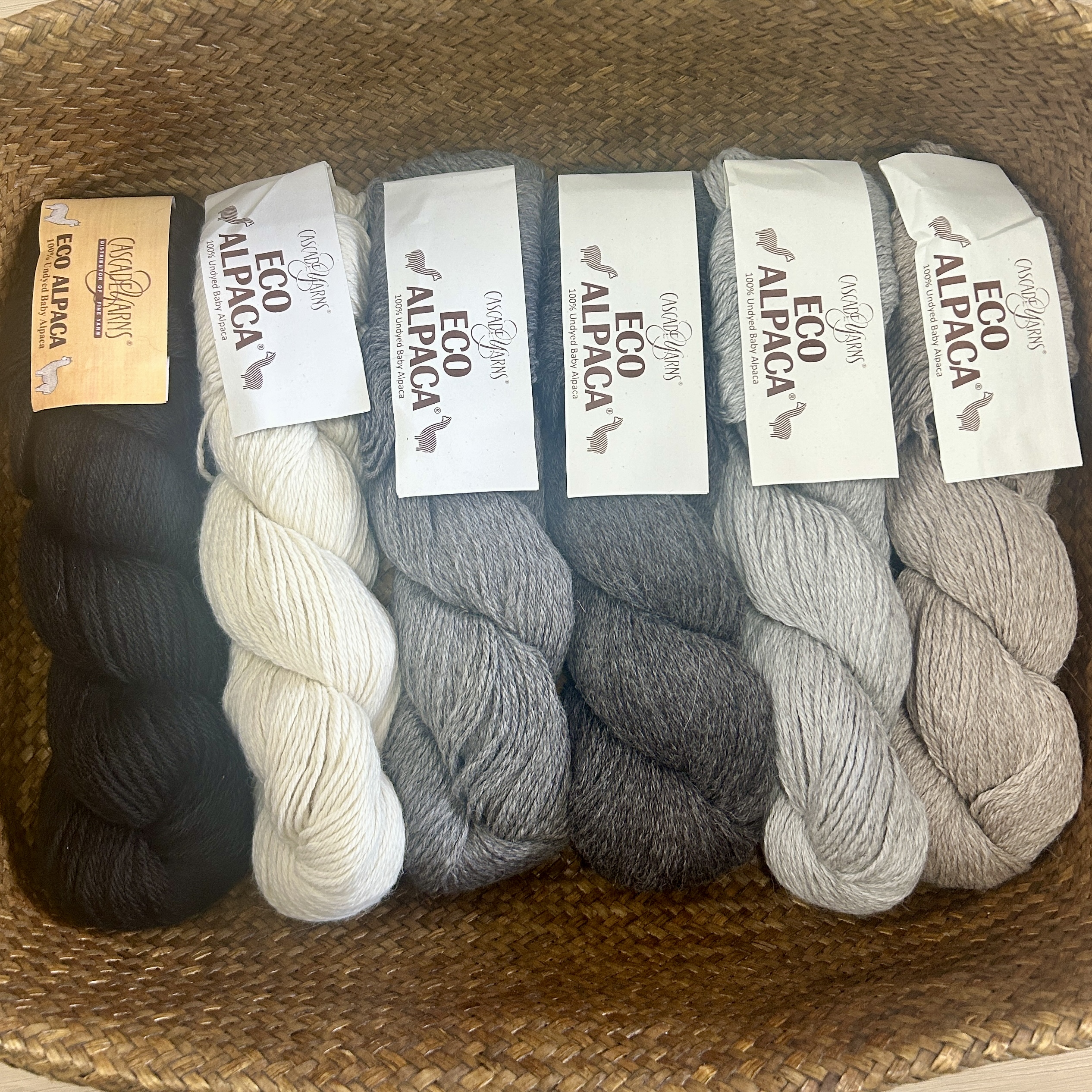 Cascade Yarns Eco Alpaca