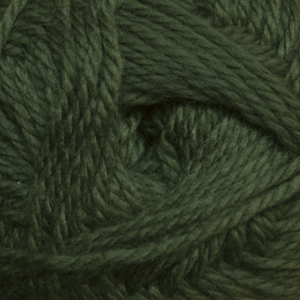 Cascade Yarns Cherub Aran - Bronze Green (59)