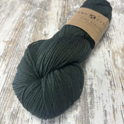 Yarn Citizen Unity Worsted - Bristlecone