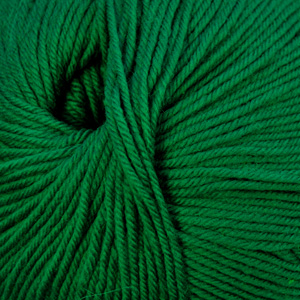 220 Superwash - Christmas Green (864)