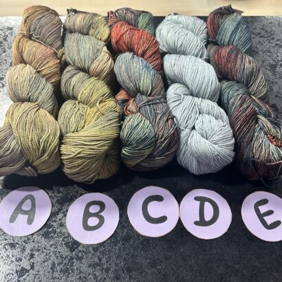 Malabrigo Sock - Single Lot D