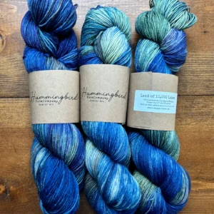 Hummingbird Yarn Co. Land of 10,000 Lakes hand-dyed yarn